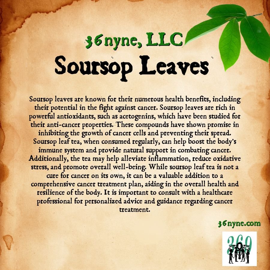 GROUND SOURSOP LEAVES
